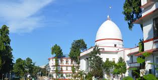 In Guwahati HC, challenge to Assam’s ‘pushback’ into Bangladesh: ‘Nothing in law ratifies this action’
